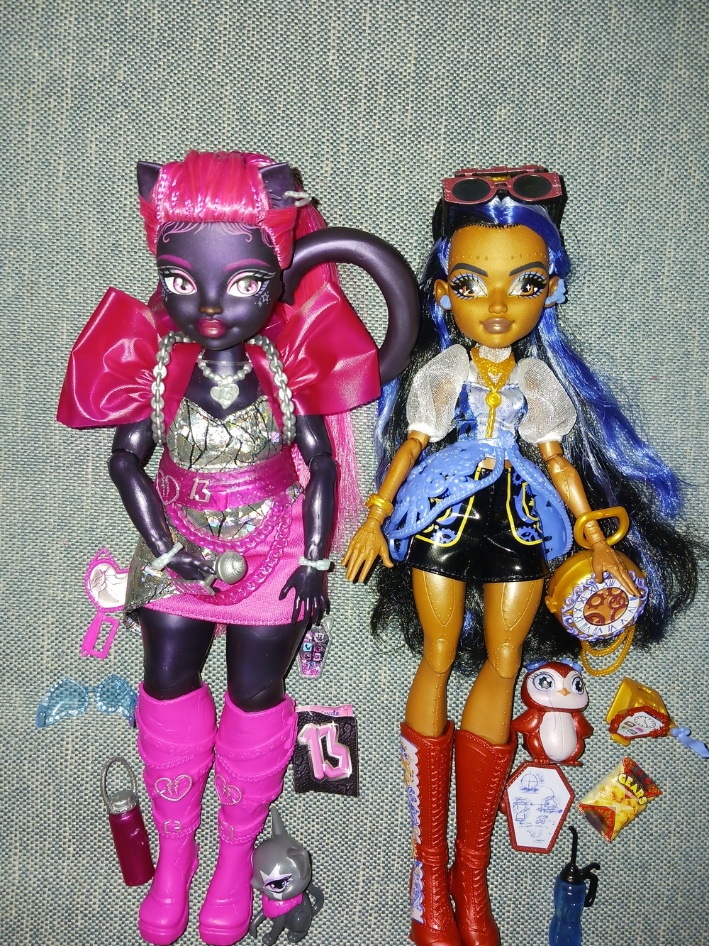 Monster High Dolls Catty Noir and Robecca Steam - Picture 2 of 4